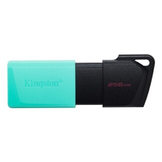 Kingston Technology DataTraveler 256GB USB3.2 Gen1 Exodia M (Black + Teal)