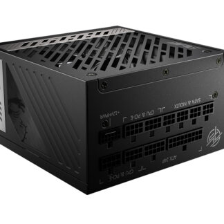 MSI 1000W GOLD F/M MEG A1000G PCIE5