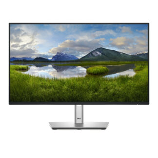 Dell 24 Inch IPS Display Monitor with stand